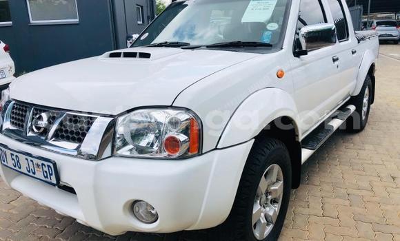 Acheter Occasion Voiture Nissan NP 300 Blanc à Big Bend, Lubombo Acheter Occasion Voiture Nissan NP 300 Blanc à Big Bend, Lubombo