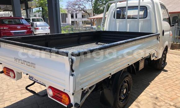 Acheter Occasion Voiture Hyundai H200 Blanc à Big Bend, Lubombo Acheter Occasion Voiture Hyundai H200 Blanc à Big Bend, Lubombo