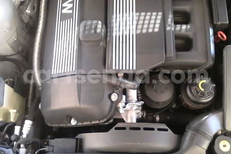 Big with watermark 44249081 483132842209040 5782404463054553088 o