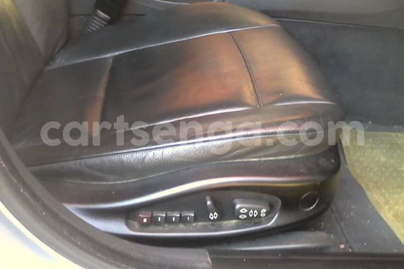 Big with watermark 44148076 483132808875710 3174918053737529344 o