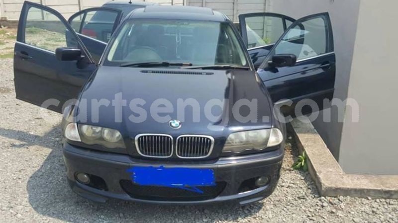 Big with watermark 44458591 10205301959624998 4471864951538974720 o