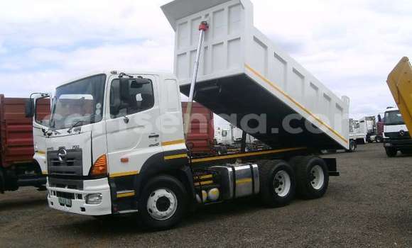 Medium with watermark hino ranger manzini malkerns 13666