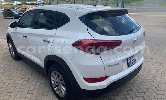 Acheter Occasion Voiture Hyundai Tucson Blanc à Manzini, Manzini Acheter Occasion Voiture Hyundai Tucson Blanc à Manzini, Manzini