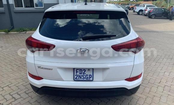 Acheter Occasion Voiture Hyundai Tucson Blanc à Manzini, Manzini Acheter Occasion Voiture Hyundai Tucson Blanc à Manzini, Manzini