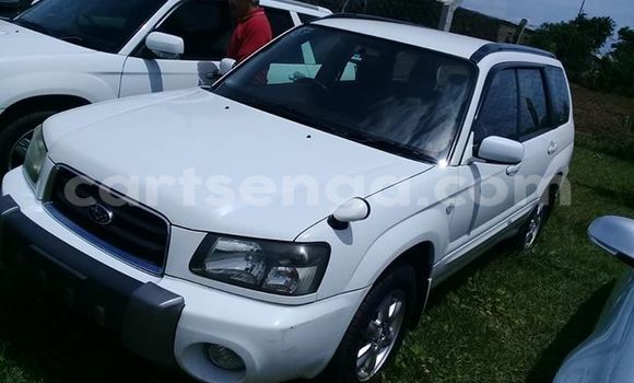 Buy Used Subaru Forester White Car in Matsapha in Manzini
