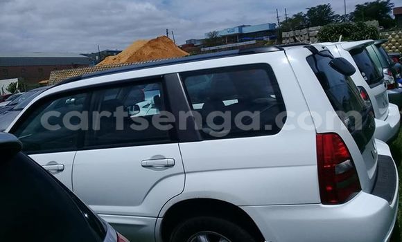 Buy Used Subaru Forester White Car in Matsapha in Manzini Buy Used Subaru Forester White Car in Matsapha in Manzini