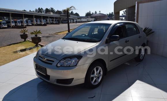 Buy Used Toyota Runx Other Car in Manzini in Manzini Buy Used Toyota Runx Other Car in Manzini in Manzini