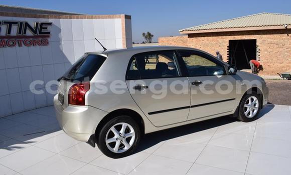 Buy Used Toyota Runx Other Car in Manzini in Manzini Buy Used Toyota Runx Other Car in Manzini in Manzini