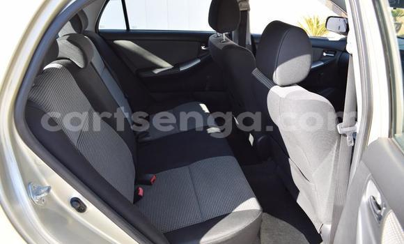 Buy Used Toyota Runx Other Car in Manzini in Manzini Buy Used Toyota Runx Other Car in Manzini in Manzini