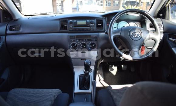 Buy Used Toyota Runx Other Car in Manzini in Manzini Buy Used Toyota Runx Other Car in Manzini in Manzini