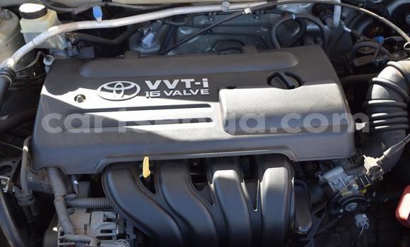 Buy Used Toyota Runx Other Car in Manzini in Manzini Buy Used Toyota Runx Other Car in Manzini in Manzini