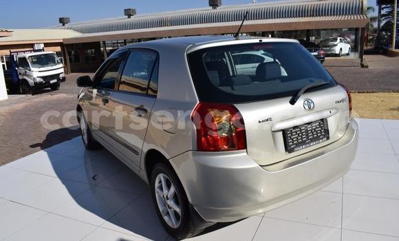 Buy Used Toyota Runx Other Car in Manzini in Manzini Buy Used Toyota Runx Other Car in Manzini in Manzini