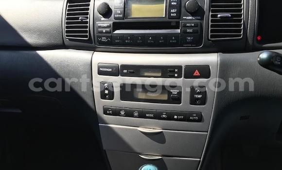 Buy Used Toyota Runx Other Car in Manzini in Manzini Buy Used Toyota Runx Other Car in Manzini in Manzini