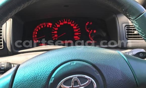 Buy Used Toyota Runx Other Car in Manzini in Manzini Buy Used Toyota Runx Other Car in Manzini in Manzini