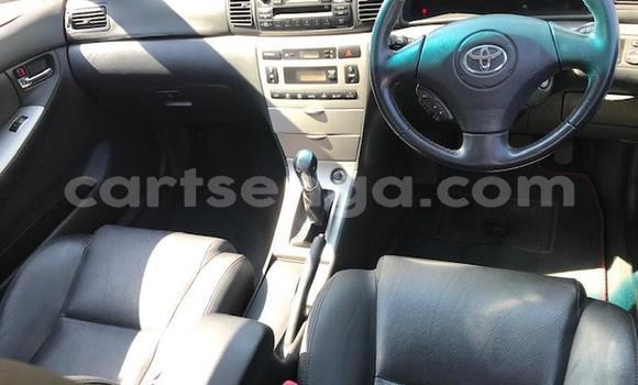 Buy Used Toyota Runx Other Car in Manzini in Manzini Buy Used Toyota Runx Other Car in Manzini in Manzini