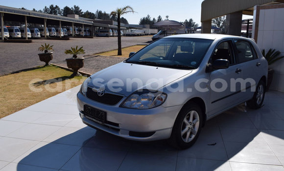 Acheter Occasion Voiture Toyota Runx Gris à Big Bend, Lubombo Acheter Occasion Voiture Toyota Runx Gris à Big Bend, Lubombo