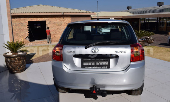 Acheter Occasion Voiture Toyota Runx Gris à Big Bend, Lubombo Acheter Occasion Voiture Toyota Runx Gris à Big Bend, Lubombo