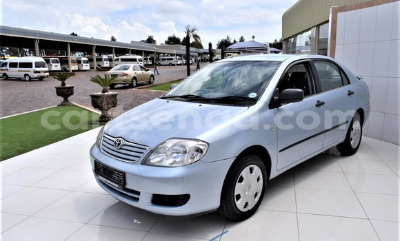 Acheter Occasion Voiture Toyota Corolla Gris à Big Bend, Lubombo Acheter Occasion Voiture Toyota Corolla Gris à Big Bend, Lubombo