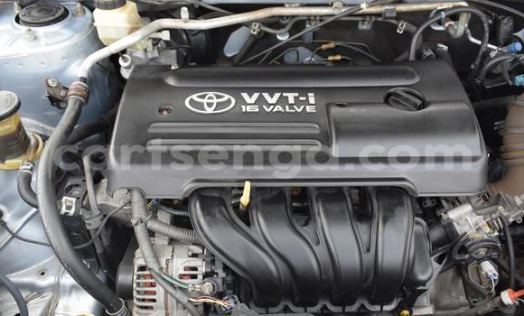 Acheter Occasion Voiture Toyota Corolla Gris à Big Bend, Lubombo Acheter Occasion Voiture Toyota Corolla Gris à Big Bend, Lubombo