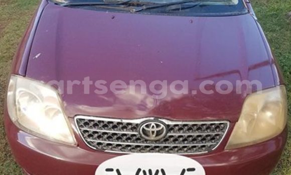 Buy Used Toyota Corolla Red Car in Manzini in Manzini Buy Used Toyota Corolla Red Car in Manzini in Manzini