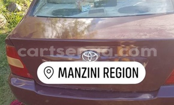 Buy Used Toyota Corolla Red Car in Manzini in Manzini Buy Used Toyota Corolla Red Car in Manzini in Manzini