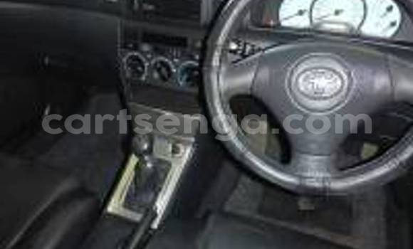 Acheter Occasion Voiture Toyota Runx Gris à Big Bend, Lubombo Acheter Occasion Voiture Toyota Runx Gris à Big Bend, Lubombo