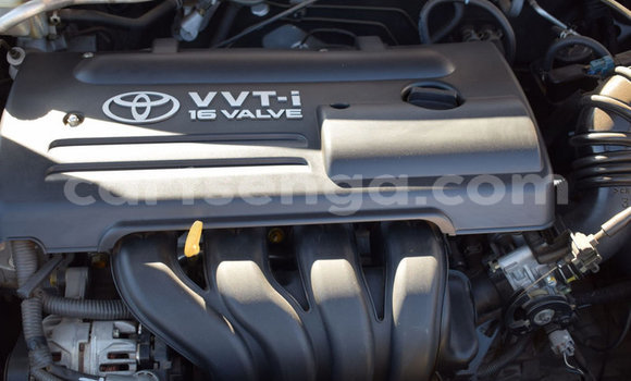 Acheter Occasion Voiture Toyota Runx Gris à Big Bend, Lubombo Acheter Occasion Voiture Toyota Runx Gris à Big Bend, Lubombo