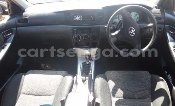 Acheter Occasion Voiture Toyota Runx Gris à Mbabane, Manzini Acheter Occasion Voiture Toyota Runx Gris à Mbabane, Manzini