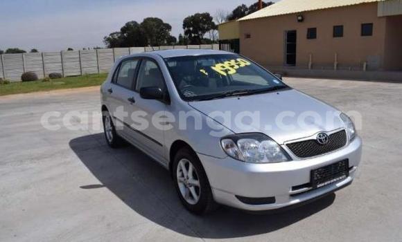Acheter Occasion Voiture Toyota Runx Gris à Big Bend, Lubombo District Acheter Occasion Voiture Toyota Runx Gris à Big Bend, Lubombo District