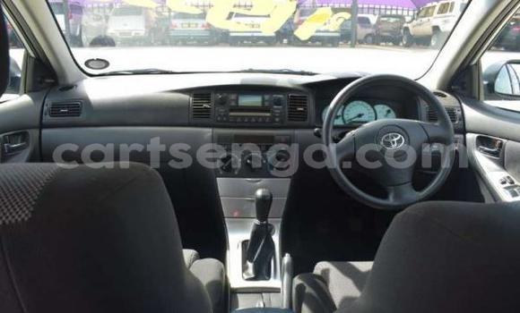 Acheter Occasion Voiture Toyota Runx Gris à Big Bend, Lubombo District Acheter Occasion Voiture Toyota Runx Gris à Big Bend, Lubombo District