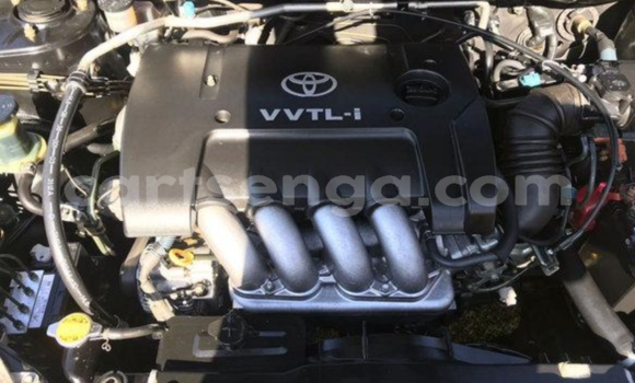 Acheter Occasion Voiture Toyota Runx Noir à Mbabane, Manzini Acheter Occasion Voiture Toyota Runx Noir à Mbabane, Manzini