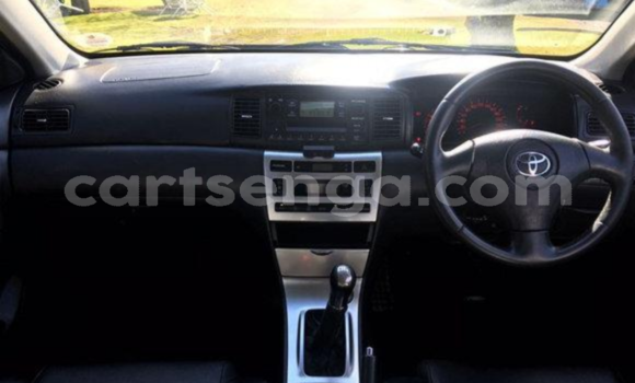 Acheter Occasion Voiture Toyota Runx Noir à Mbabane, Manzini Acheter Occasion Voiture Toyota Runx Noir à Mbabane, Manzini