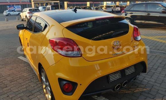 Nunua Ilio tumika Vector W8 Twin Turbo Other Gari ndani ya Ezulwini nchini Hhohho Nunua Ilio tumika Vector W8 Twin Turbo Other Gari ndani ya Ezulwini nchini Hhohho