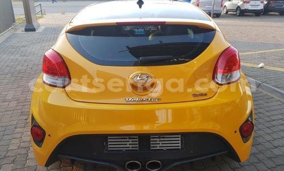 Nunua Ilio tumika Vector W8 Twin Turbo Other Gari ndani ya Ezulwini nchini Hhohho Nunua Ilio tumika Vector W8 Twin Turbo Other Gari ndani ya Ezulwini nchini Hhohho