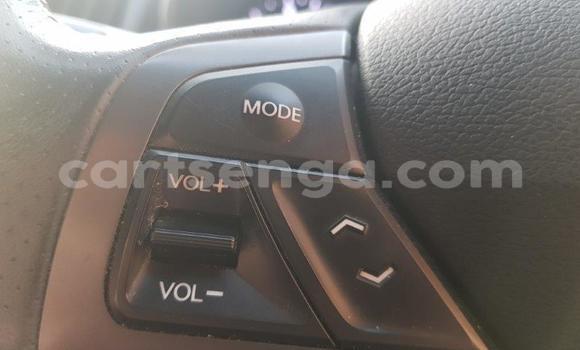 Nunua Ilio tumika Vector W8 Twin Turbo Other Gari ndani ya Ezulwini nchini Hhohho Nunua Ilio tumika Vector W8 Twin Turbo Other Gari ndani ya Ezulwini nchini Hhohho