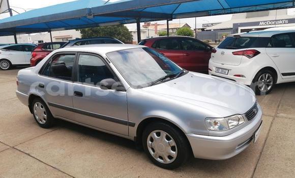 Acheter Occasion Voiture Toyota Corolla Gris à Ezulwini, Hhohho Acheter Occasion Voiture Toyota Corolla Gris à Ezulwini, Hhohho