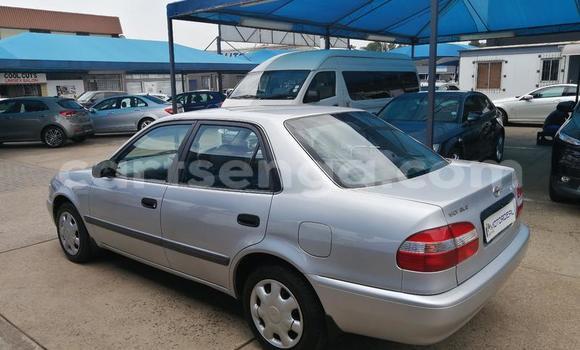 Acheter Occasion Voiture Toyota Corolla Gris à Ezulwini, Hhohho Acheter Occasion Voiture Toyota Corolla Gris à Ezulwini, Hhohho