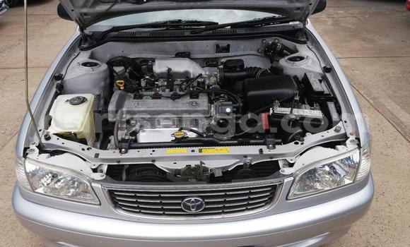 Acheter Occasion Voiture Toyota Corolla Gris à Ezulwini, Hhohho Acheter Occasion Voiture Toyota Corolla Gris à Ezulwini, Hhohho