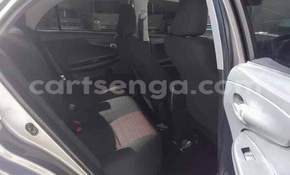 Acheter Occasion Voiture Toyota Corolla Gris à Big Bend, Lubombo Acheter Occasion Voiture Toyota Corolla Gris à Big Bend, Lubombo