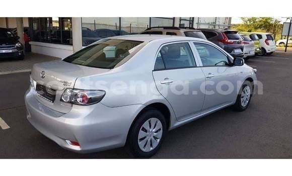 Acheter Occasion Voiture Toyota Corolla Gris à Hlatikulu, Shiselweni District Acheter Occasion Voiture Toyota Corolla Gris à Hlatikulu, Shiselweni District
