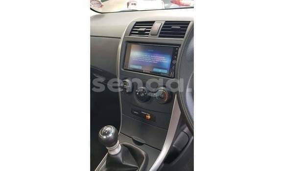 Acheter Occasion Voiture Toyota Corolla Gris à Hlatikulu, Shiselweni District Acheter Occasion Voiture Toyota Corolla Gris à Hlatikulu, Shiselweni District