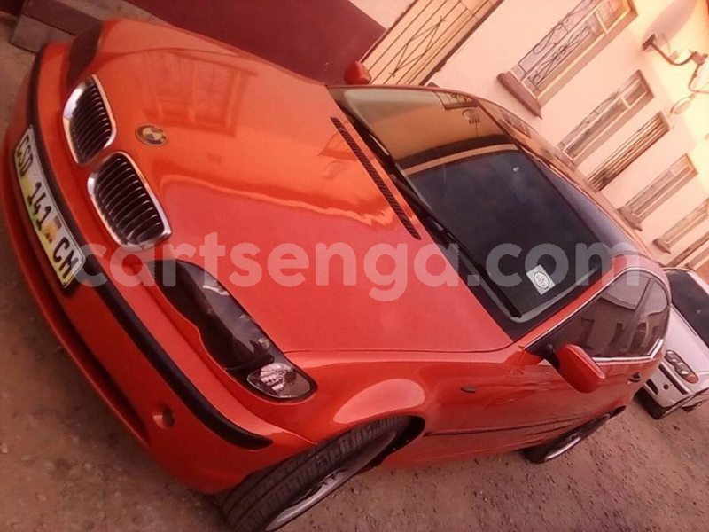 Big with watermark 45481195 1888921937893554 2042222924517081088 o