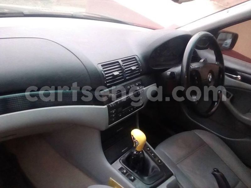 Big with watermark 45561410 1888921864560228 7606953140725743616 o