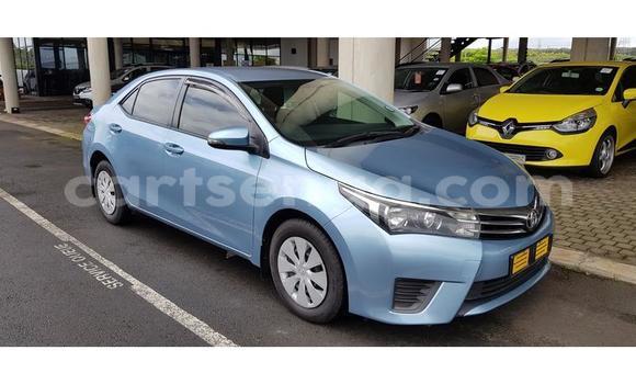 Nunua Ilio tumika Toyota Corolla Blue Gari ndani ya Ezulwini nchini Hhohho Nunua Ilio tumika Toyota Corolla Blue Gari ndani ya Ezulwini nchini Hhohho