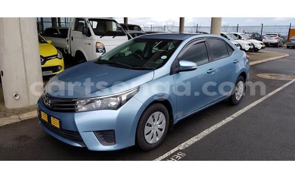 Nunua Ilio tumika Toyota Corolla Blue Gari ndani ya Ezulwini nchini Hhohho Nunua Ilio tumika Toyota Corolla Blue Gari ndani ya Ezulwini nchini Hhohho
