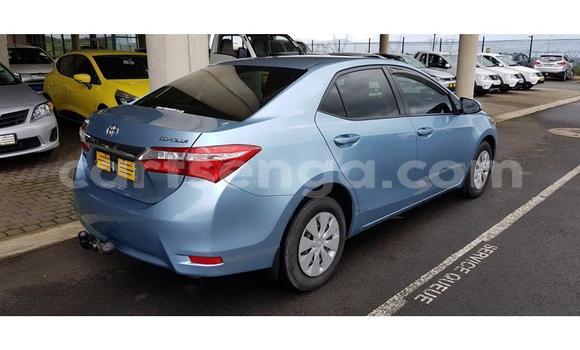 Nunua Ilio tumika Toyota Corolla Blue Gari ndani ya Ezulwini nchini Hhohho Nunua Ilio tumika Toyota Corolla Blue Gari ndani ya Ezulwini nchini Hhohho