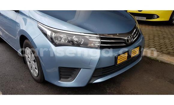 Nunua Ilio tumika Toyota Corolla Blue Gari ndani ya Ezulwini nchini Hhohho Nunua Ilio tumika Toyota Corolla Blue Gari ndani ya Ezulwini nchini Hhohho
