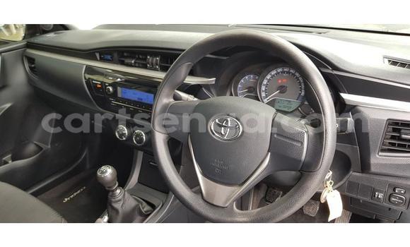 Nunua Ilio tumika Toyota Corolla Blue Gari ndani ya Ezulwini nchini Hhohho Nunua Ilio tumika Toyota Corolla Blue Gari ndani ya Ezulwini nchini Hhohho