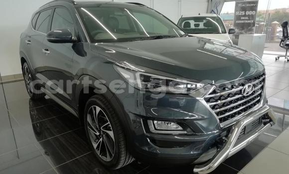 Buy Used Hyundai Tucson Silver Car in Ezulwini in Hhohho Buy Used Hyundai Tucson Silver Car in Ezulwini in Hhohho