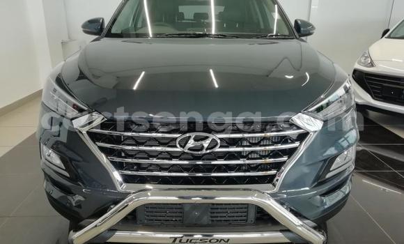 Buy Used Hyundai Tucson Silver Car in Ezulwini in Hhohho Buy Used Hyundai Tucson Silver Car in Ezulwini in Hhohho